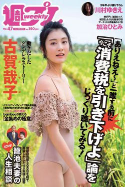 陆贞传奇全集播放